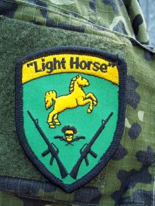 Lighthorse